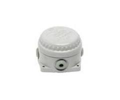 CCG128804 Remora   